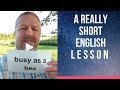 Meaning of BUSY AS A BEE - A Really Short English Lesson with Subtitles