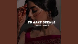 Tu Aake Dekh Le (Slowed \u0026 Reverb)