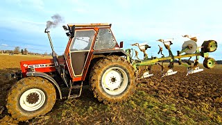 FIATAGRI  70 - 88 DT last Edition von Fiat mit Bj.1992 und Eberhardt D 90 M beim pflügen 2024