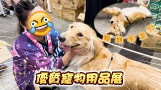 三條毛在香港寵物展必買的3樣東西🛍️Pudding賴地被圍觀了⁉️真實用家良心分享8間小店🐶直擊肥Pu俘虜眾人實況📹 - 三條毛 @DIDOW