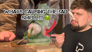 investigating a mystery BAD SMELL from the drainage