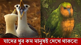 পৃথিবীর সবচেয়ে বিরল ১০টি পাখি, যা খুব কম মানুষই দেখে থাকবে! Top 10 RAREST BIRDS In The World