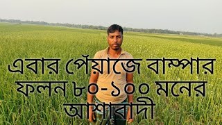 দেখুন মাএ ৮০ দিনের পেঁয়াজ। এবার কৃষক ভাইয়েরা পেঁয়াজের বাম্পার  ফলন  আশা করতেছেন।পাখিতে ৮০থেকে ১০০ মন