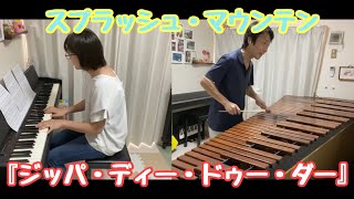 【夫婦デュオ】スプラッシュ・マウンテンBGM「ジッパ・ディー・ドゥー・ダー」〜Zip-a-Dee-Doo-Dah〜