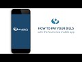 How to pay your bills with the Numerica mobile app