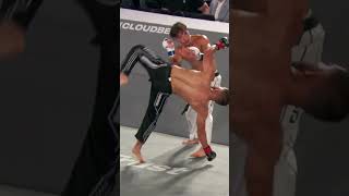 The Paige Vanzant Effect