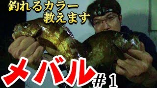 これが神のチカラ？噂のワームでメバルを狙い撃ち【メバリング】