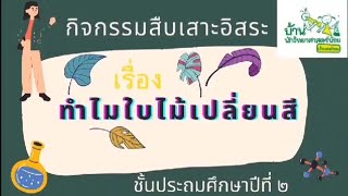 กิจกรรมสืบเสาะ บ้านนักวิทยาศาสตร์น้อย ระดับประถมศึกษาปีที่ 2 เรื่อง ทำไมใบไม้เปลี่ยนสี