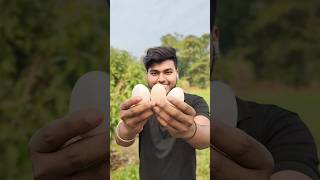 7 দিন পর কি হবে এই ডিম গুলোর অবস্থা 🤮#minivlog #vlogs #shorts