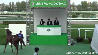 HBAトレーニングセール2011 -No.134- タケノパンジー２００９