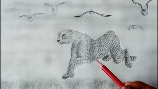 How to draw a running leopard, leopard and birds in forest drawing.