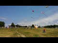 4K short of kite fest Cleveland at Edgewater