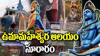 Uma Maheshwara Temple Suraram X Road Jeedimetla | ఉమామహేశ్వర ఆలయం సూరారం #suraram #umamaheswara