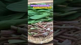 면역력 항산화 항암에 좋은 명이나물무침 #집밥 #레시피 #요리