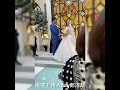 ♡婚禮主持人kay鄭淳甄 鄭婕 ♡~ 證婚儀式主持 質感 婚禮主持