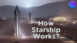 Starship Explained: Everything You Must Know about the SpaceX Starship (BFR)