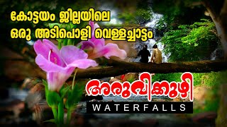 ARUVIKUZHY WATERFALLS | KOTTAYAM