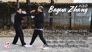 Bagua Zhang Piercing Palm Partner Drill (Chuan Zhang) - FREE LESSON #bagua #八卦掌 #application