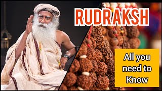 Rudraksh - All you need to know | Sadhguru Explains #TheMysticGuru