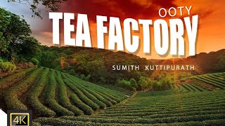 ചായപ്പൊടി ഉണ്ടാക്കുന്നത് കണ്ടിട്ടുണ്ടോ | Tea factory