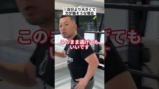 ヤンキーに胸ぐらを掴まれた時の対処法　#shorts #格闘技