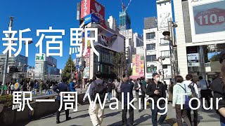 [新宿] 新宿駅一周 | 南口 - 東口 - 巨大猫 - 西口 | SHINJUKU Walking Tour