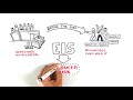 EIS   Enterprise Investment Scheme   Explained