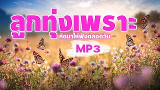 ลูกทุ่งเพราะ MP3 คัดมาให้ฟัง