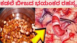 ಬೆಳಗೆನೆ ನೆನೆಸಿದ ಕಡಲೆ ಬೀಜ ತಿಂದರೆ ನಿಮ್ಮ ಶರೀರದಲ್ಲಿ ಏನಾಗುತ್ತದೆ ಗೊತ್ತಾದ್ರೆ   ಆಶ್ಚರ್ಯ ಆಗುತ್ತಿರಾ Peanut's