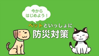 必見！ペットのための防災対策～４つのポイント～