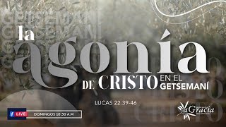 LA AGONÍA DE CRISTO EN EL GETSEMANÍ | LUCAS 22:39-46