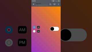 Custom style toggle switch and Radio Button Design using CSS