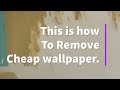 When a Husband and Wife Decide to Remove Wallpaper TOGETHER! - Spencer Colgan