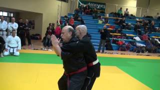 World Kobudo Euro Budo Festival 2013 - Hanshi John Therien 9.Dan Ju-Jitsu Technik 6