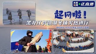 【直播】鱼跃人欢！黑龙江兴凯湖开启冬捕季