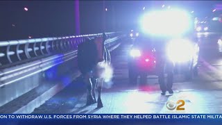 Runaway Cow Captured On New Jersey Highway