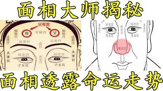 面相大师揭秘：从一个人的面相，能透露命运走势，看过的都说准