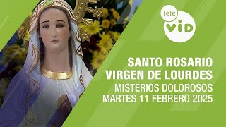 Santo Rosario a la Virgen de Lourdes Martes 11 Febrero de 2025 📿 Misterios Dolorosos #TeleVID