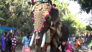 Mangalamkunnu Sharan Ayyappan at Chiravarambathu Kavu Pooram