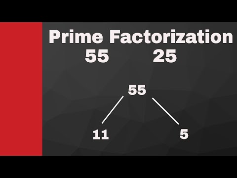 What are the prime numbers of 55?