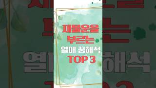 재물운을 부르는 열매 꿈해석 TOP3 #shorts #열매꿈 #사과꿈 #포도꿈