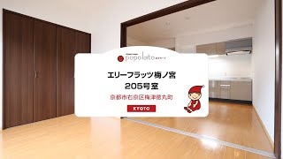 [京都市右京区][人気の賃貸物件][ネット無料]カップルの方にもオススメ!広々1LDK♬*。エリーフラッツ梅ノ宮205