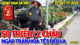 TRÀN XUỐNG LÀNG HOA SA ĐÉC - SỨ KIỂNG 50 TRIỆU 1 CHẬU - NGẬP TRÀN HÀNG ĐẸP GIÁ RẺ HẾT HỒN - TẾT 2025