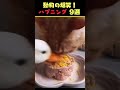 tiktokで6.9億回バズった動物ハプニング動画9選！9animal happenings videos that got 690 million buzz on tiktok shorts 犬