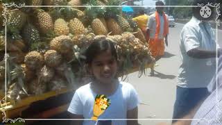 PINEAPPLE  30  ரூபாய்