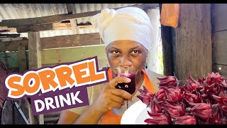 Traditional Sorrel Drink with Keisha on Delicious Delicacies (DeliDeli)