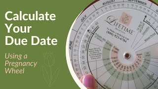 How to Use Pregnancy Wheels to Calculate Your Due Date