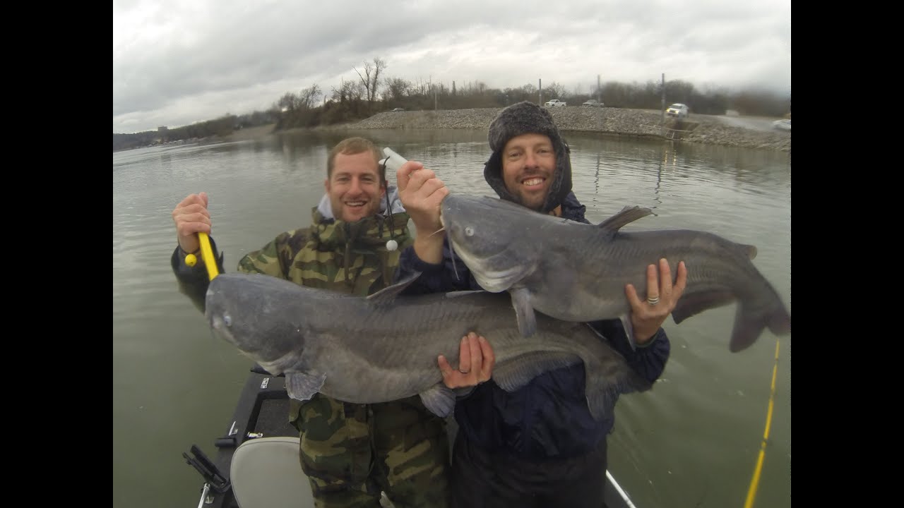 Winter Catfishing On The Tennessee River - YouTube