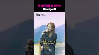 [엔믹스] 콘서트장에서 부르는 'Marigold' #マリーゴールド