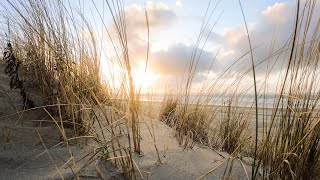 Sonnenuntergang an der Nordsee mit Meeresrauschen in Echtzeit!